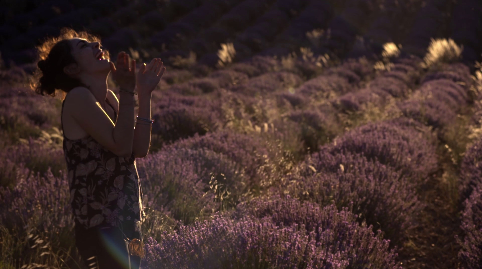 a woman standing in a field of lavender flowers