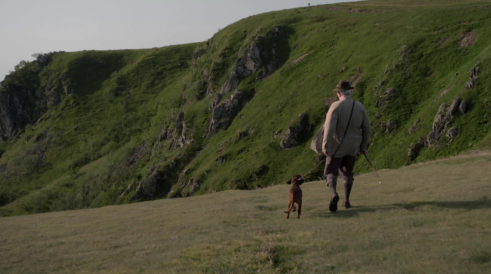 a man walking with a dog on a grassy hill