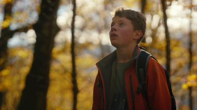 a young boy standing in the woods looking up