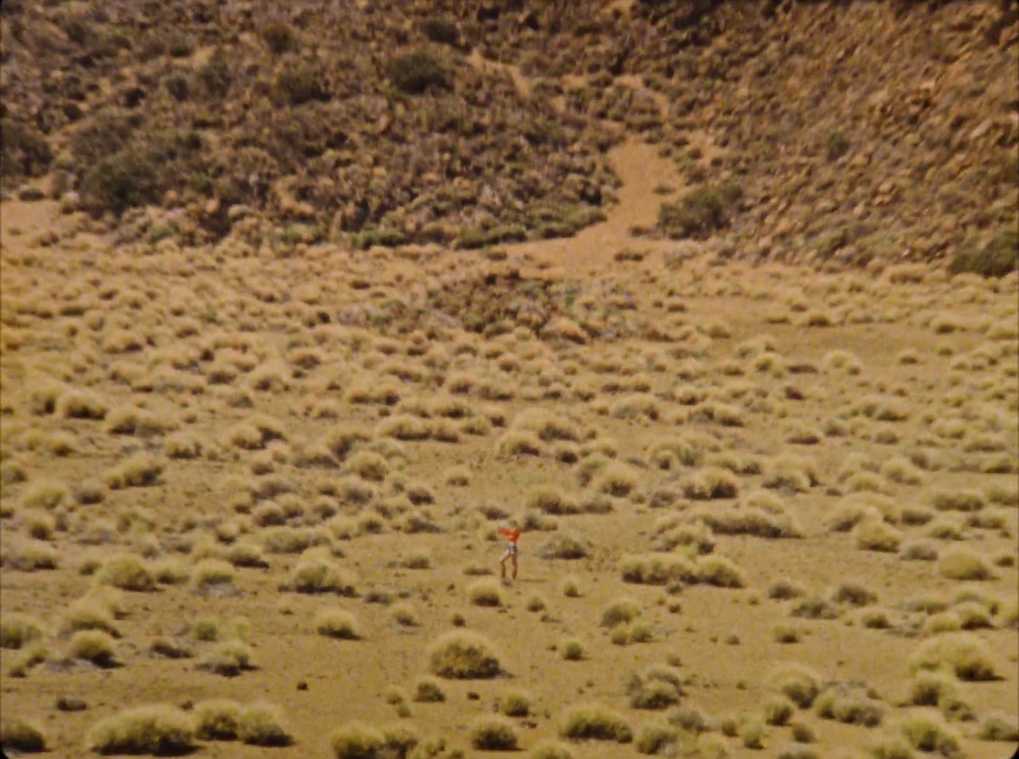 a person standing in the middle of a desert