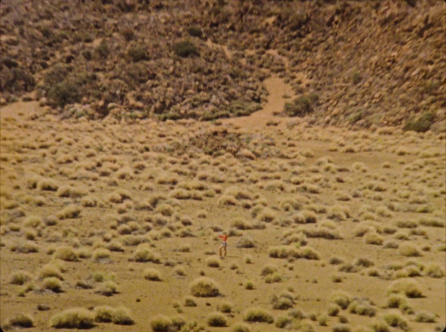 a person standing in the middle of a field