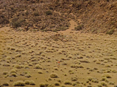 a person standing in the middle of a field