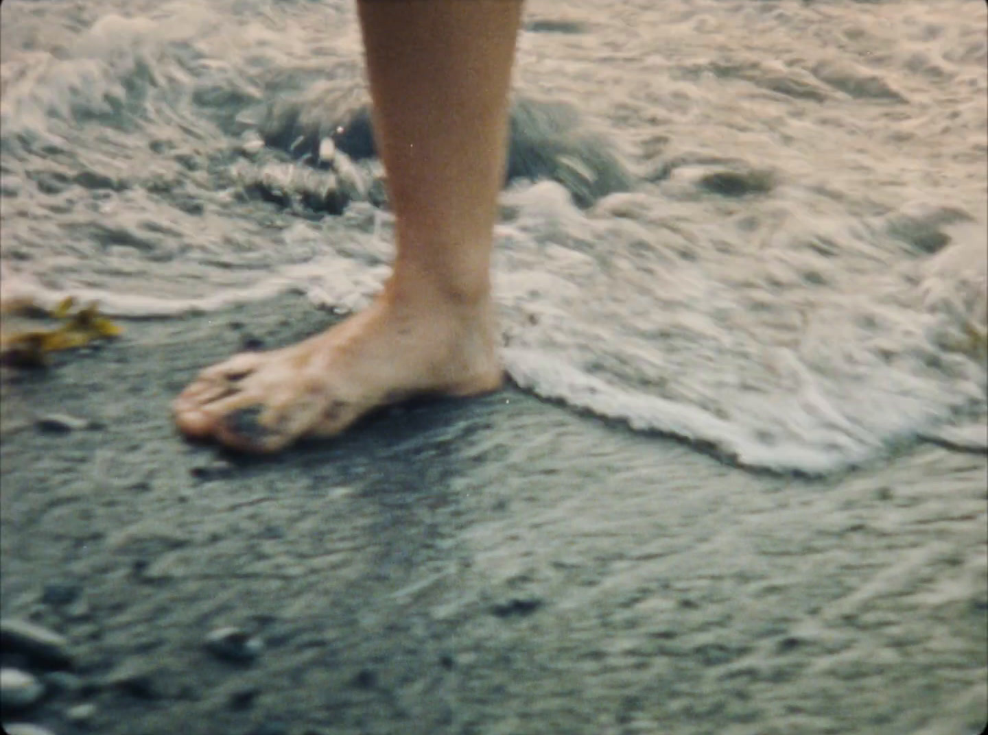 a person standing on a wet beach next to the ocean