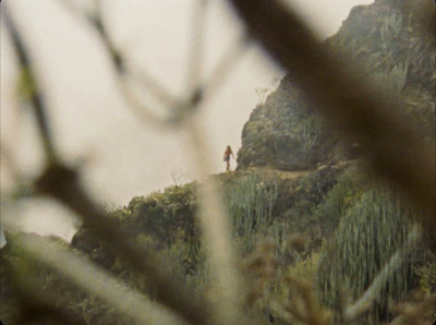 a person standing on top of a hill