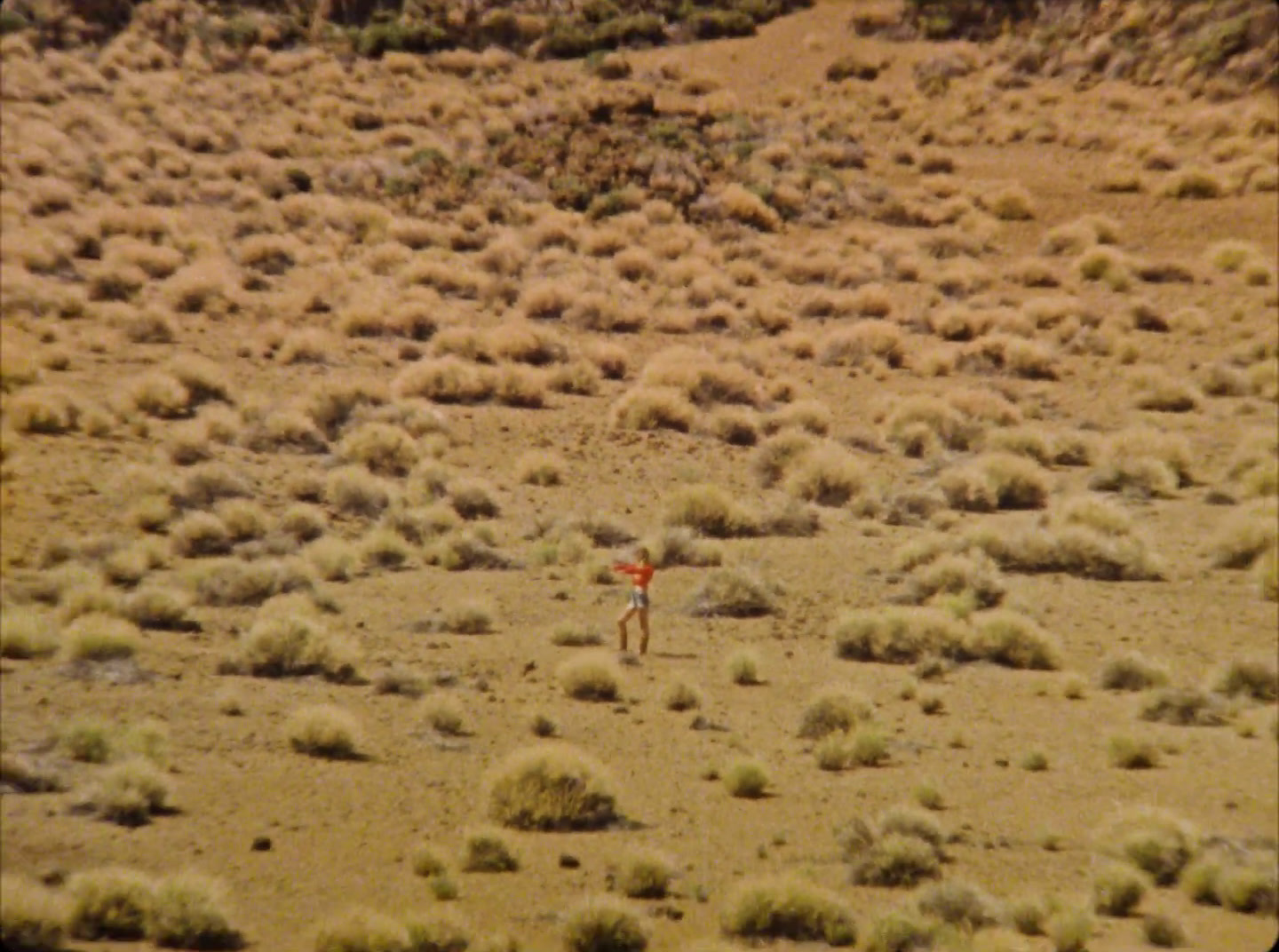 a person standing in the middle of a desert