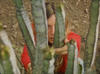 a woman in a red shirt looking through a cactus