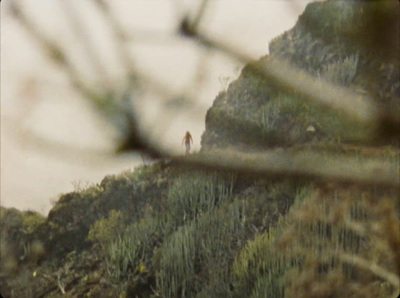 a man standing on top of a lush green hillside