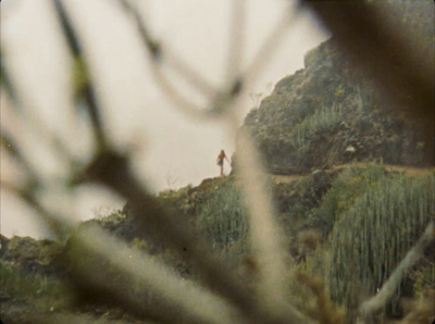 a couple of people standing on top of a lush green hillside