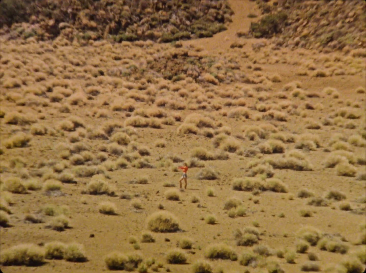 a person standing in the middle of a desert