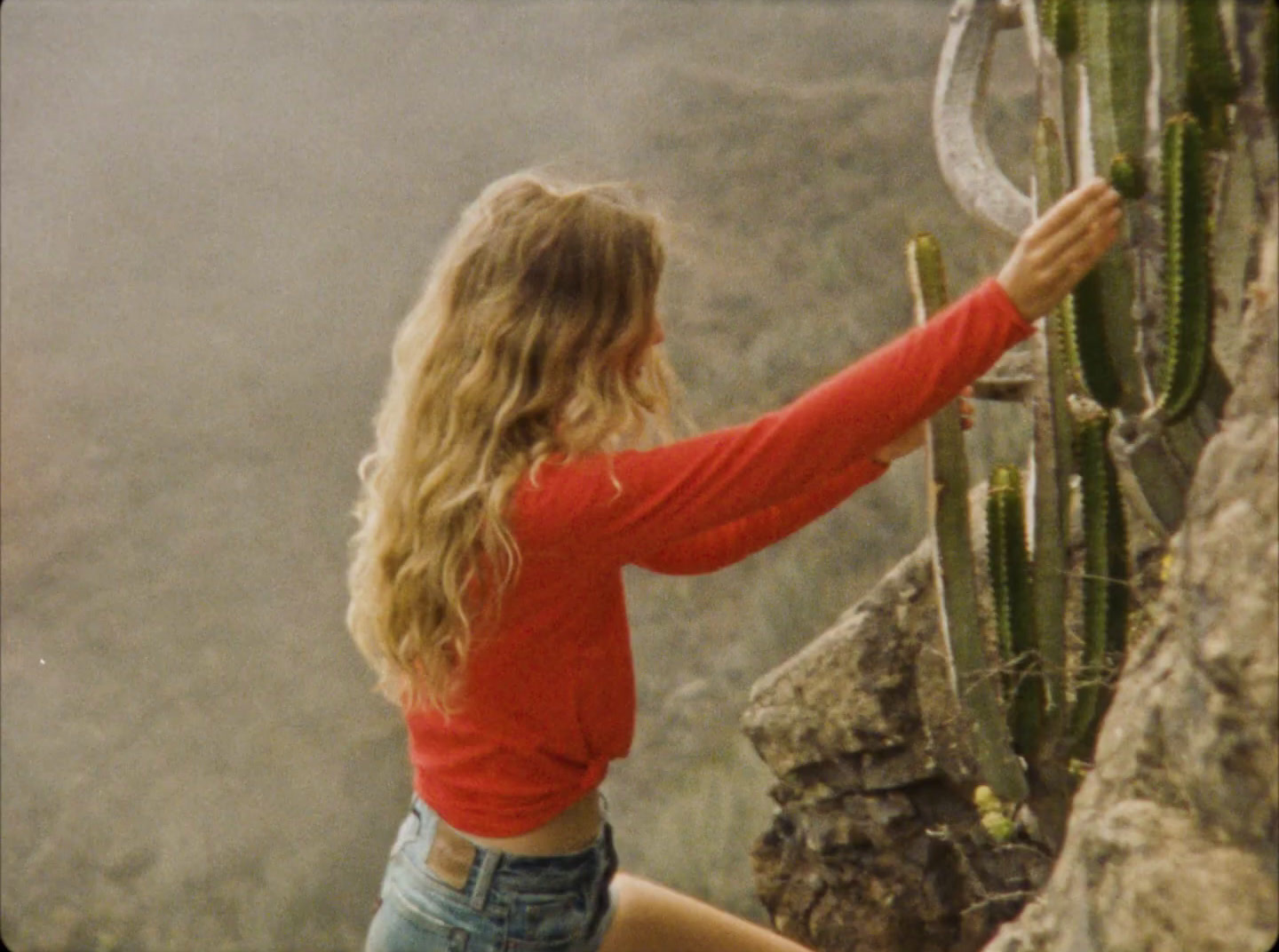 a woman climbing up the side of a mountain next to a cactus