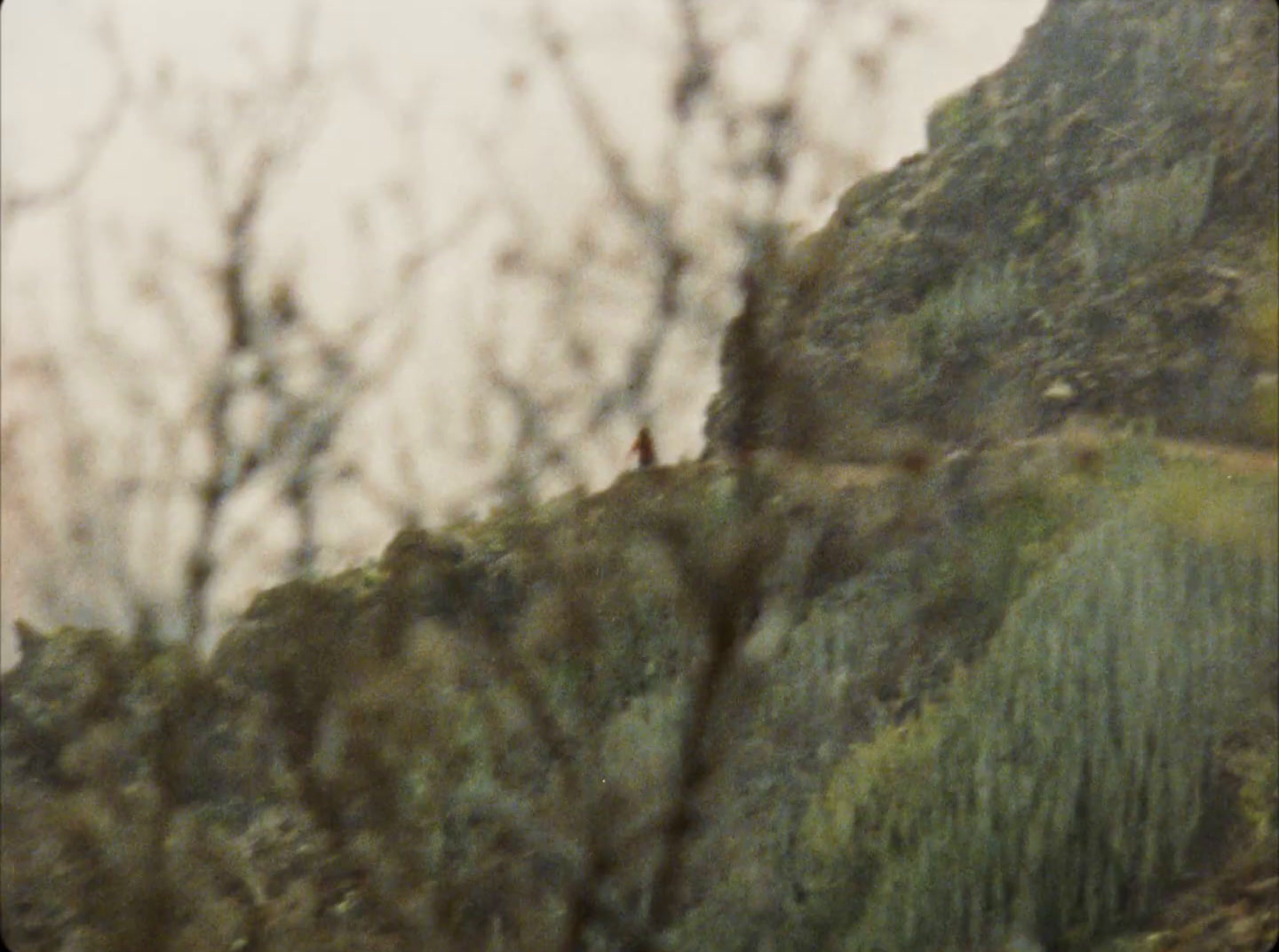 a view of a mountain with trees on the side of it