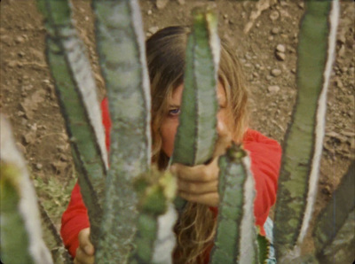 a young girl peeking through the branches of a cactus