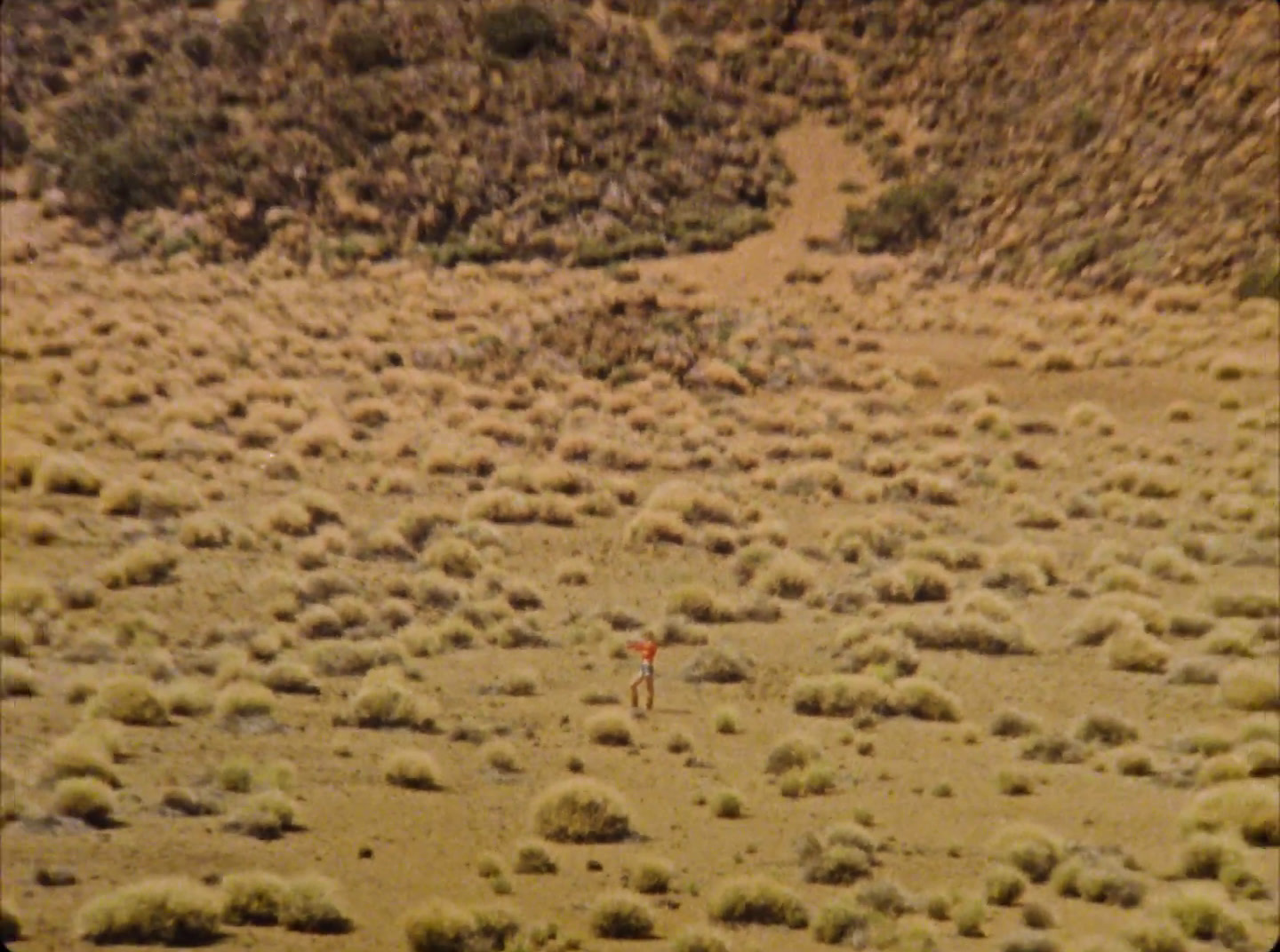 a person in a field with a kite