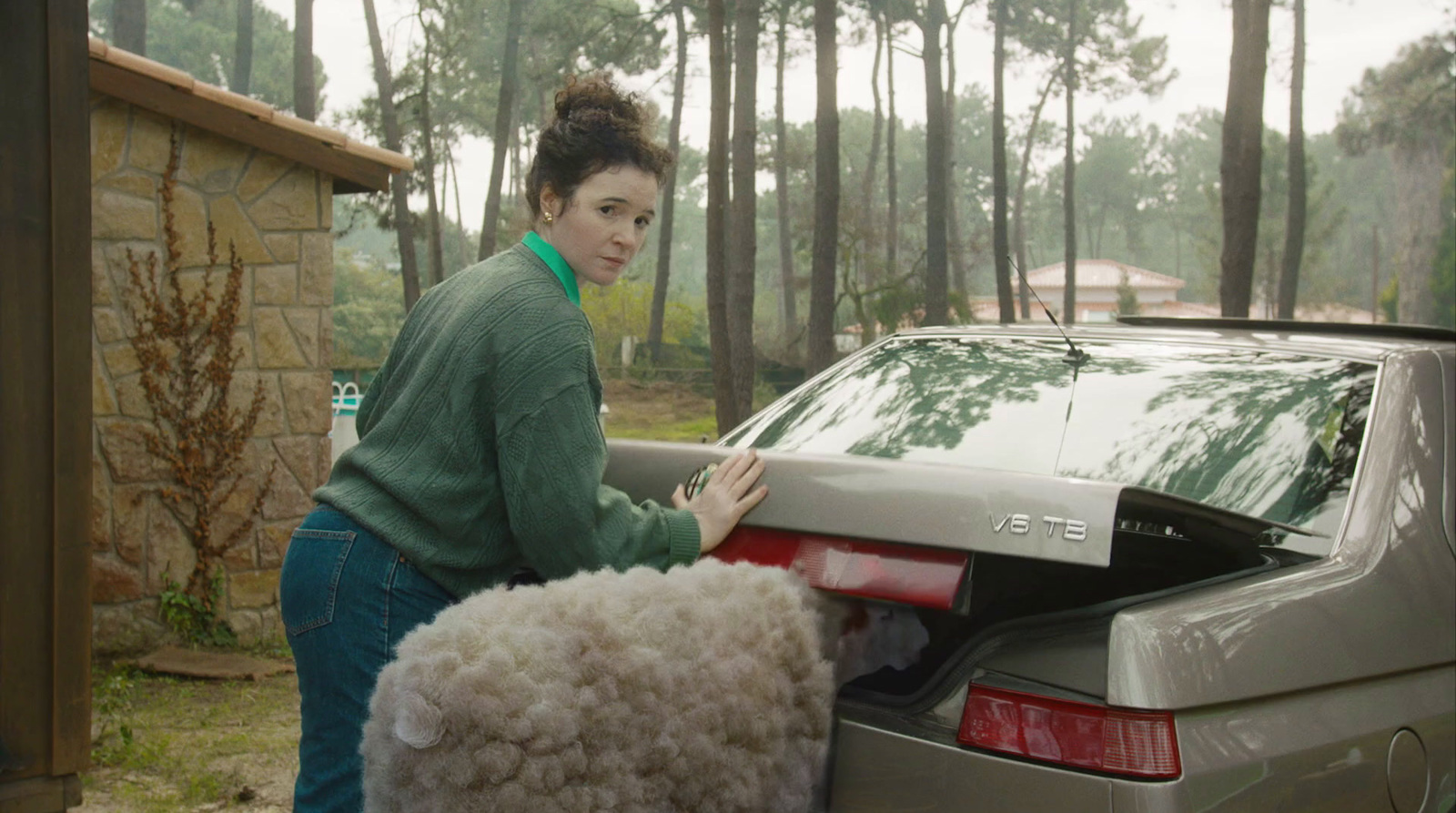 a woman standing next to a car holding a sheep