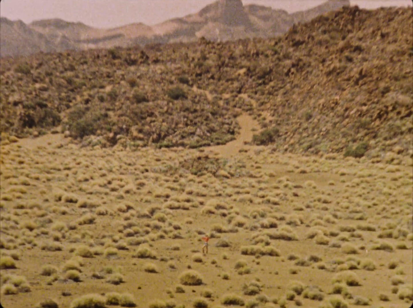 a person is walking through a field with mountains in the background