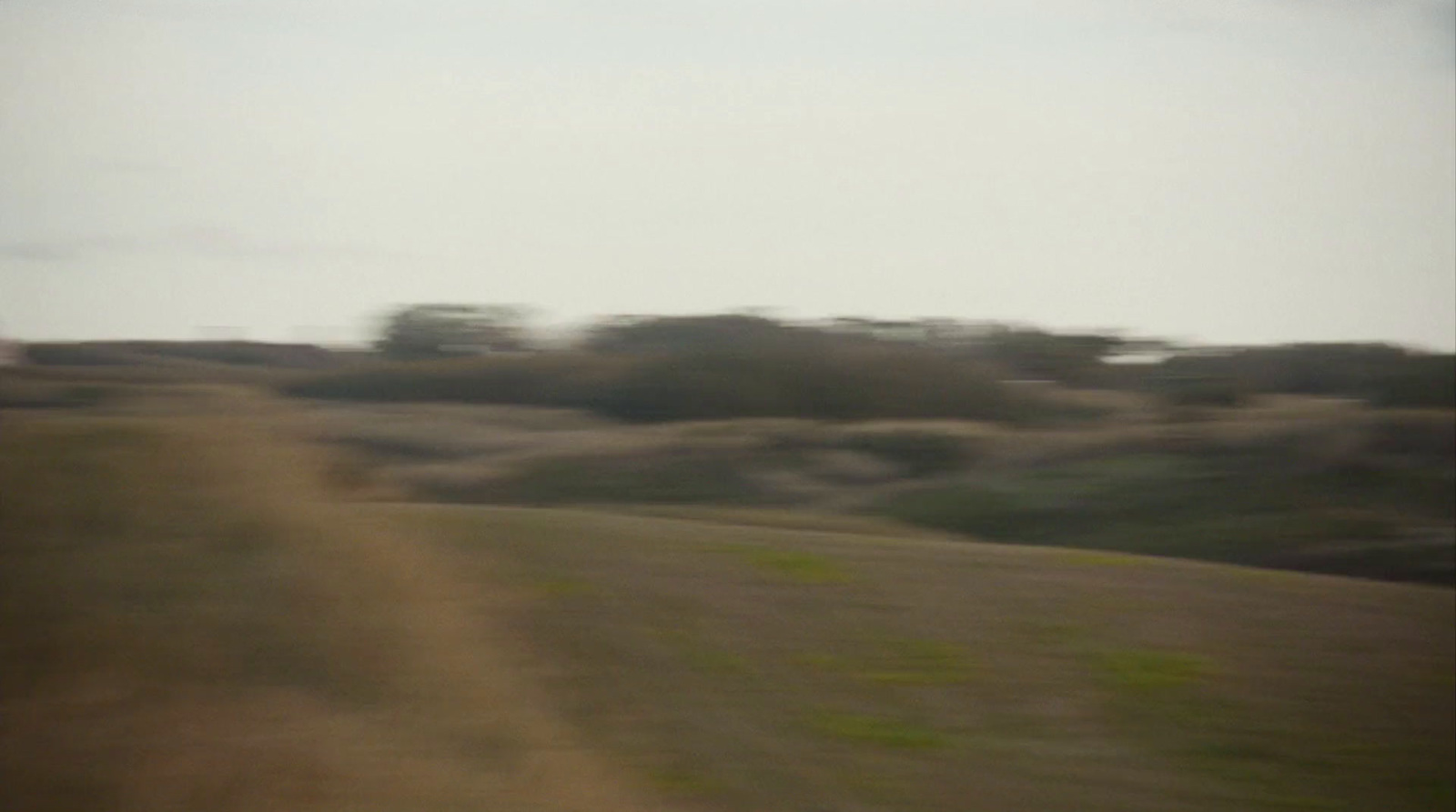 a blurry photo of a field with trees in the background