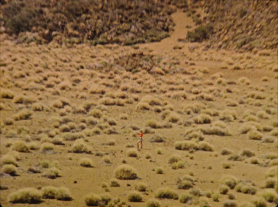 a person is flying a kite in the middle of a field