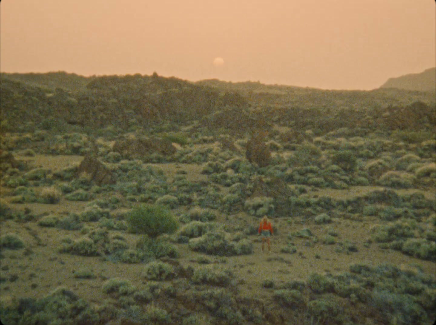 a person in a field with a kite in the sky