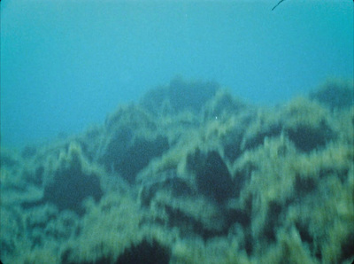 an underwater view of a rock formation in the ocean