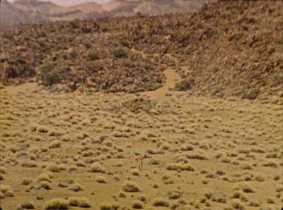 a person is flying a kite in the desert