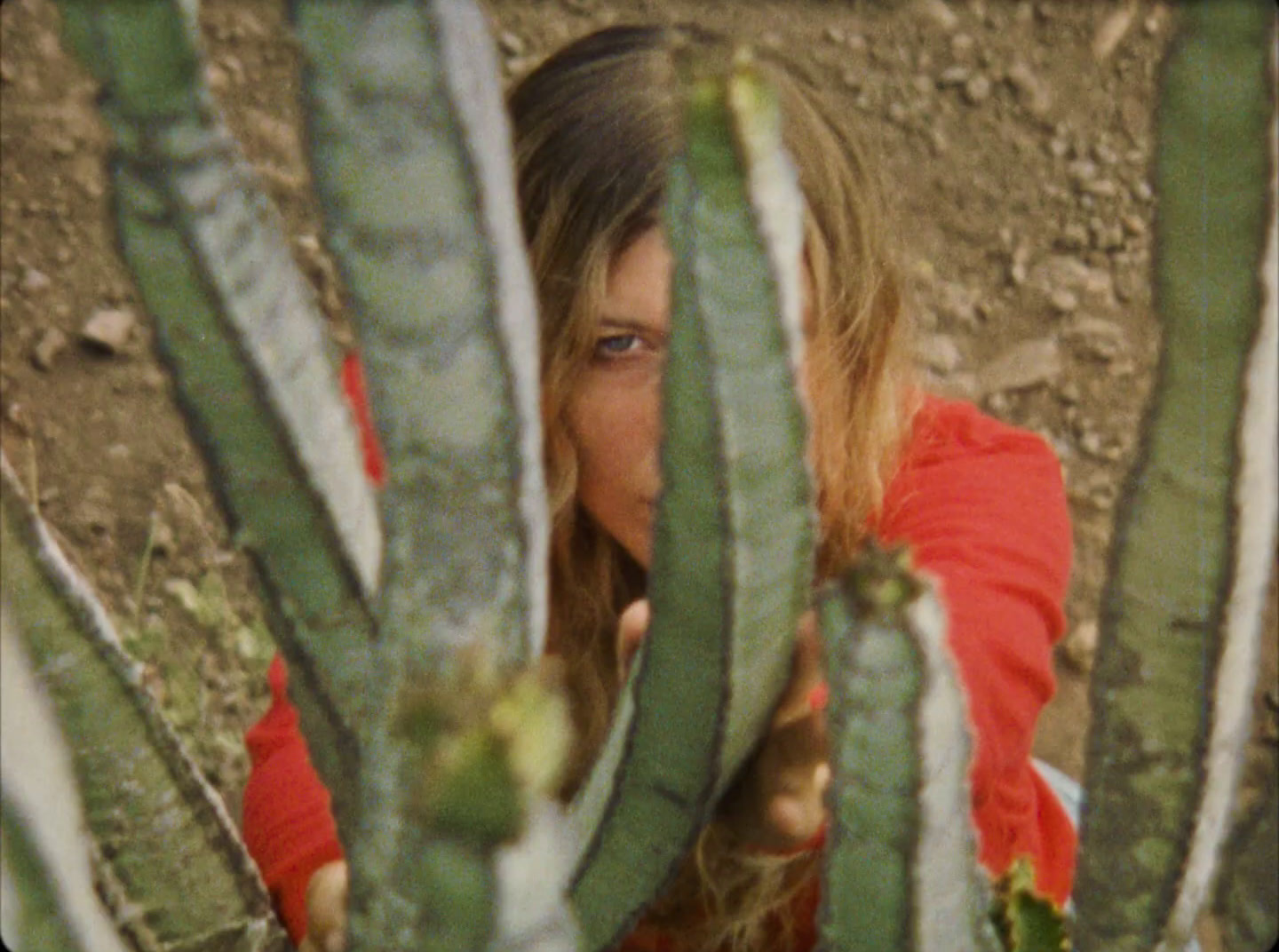 a woman peeking out from behind a cactus