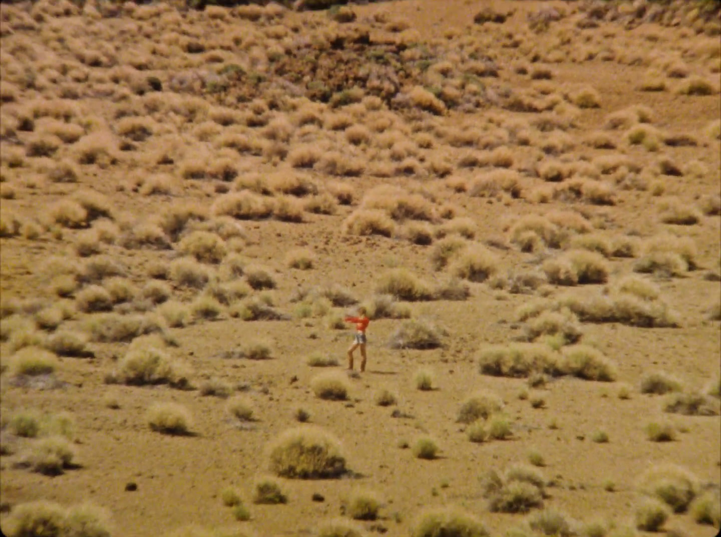 a person standing in the middle of a desert