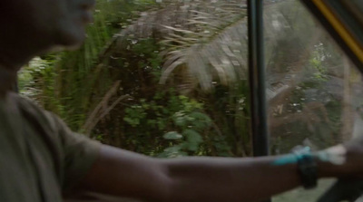 a man driving a bus through a lush green forest