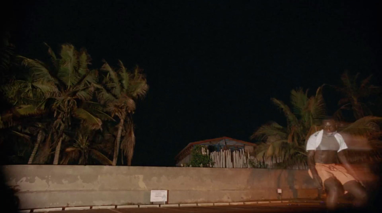 a man riding a skateboard down a street next to palm trees