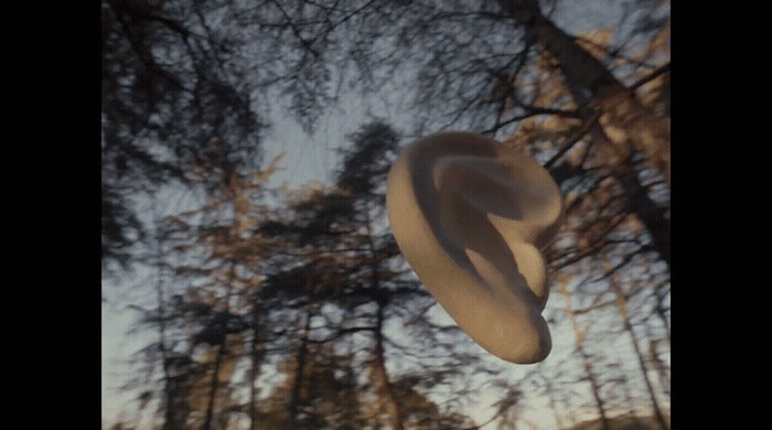 a blurry photo of a hat hanging from a tree