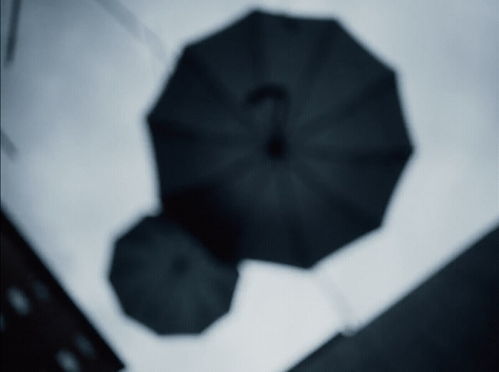 two black umbrellas are seen in the sky