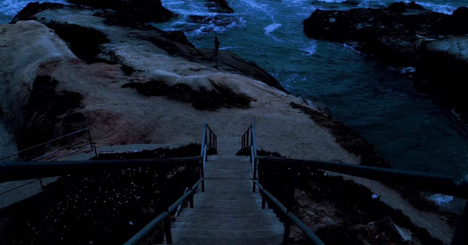 a set of stairs leading down to the ocean