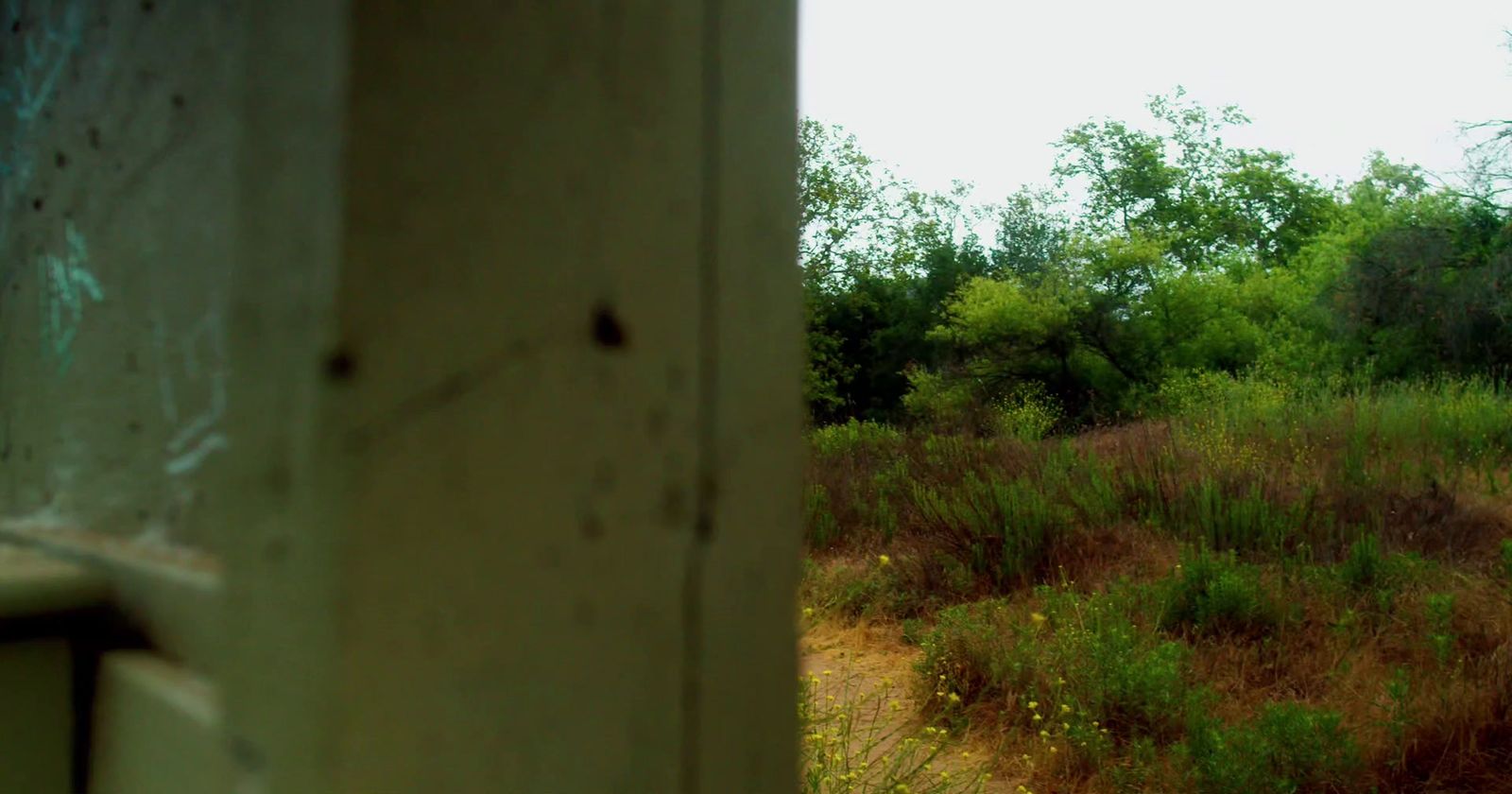 a view of a grassy field from a window