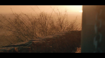 a foggy view of a stone wall and trees