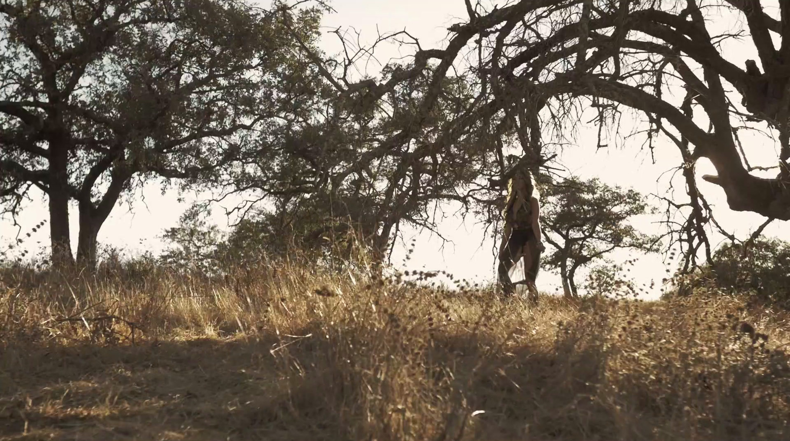 a giraffe standing in the middle of a field