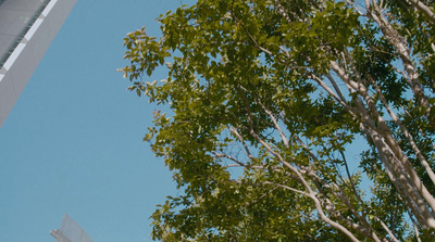 a skateboarder is doing a trick in the air