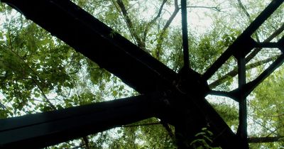 looking up at a metal structure with trees in the background