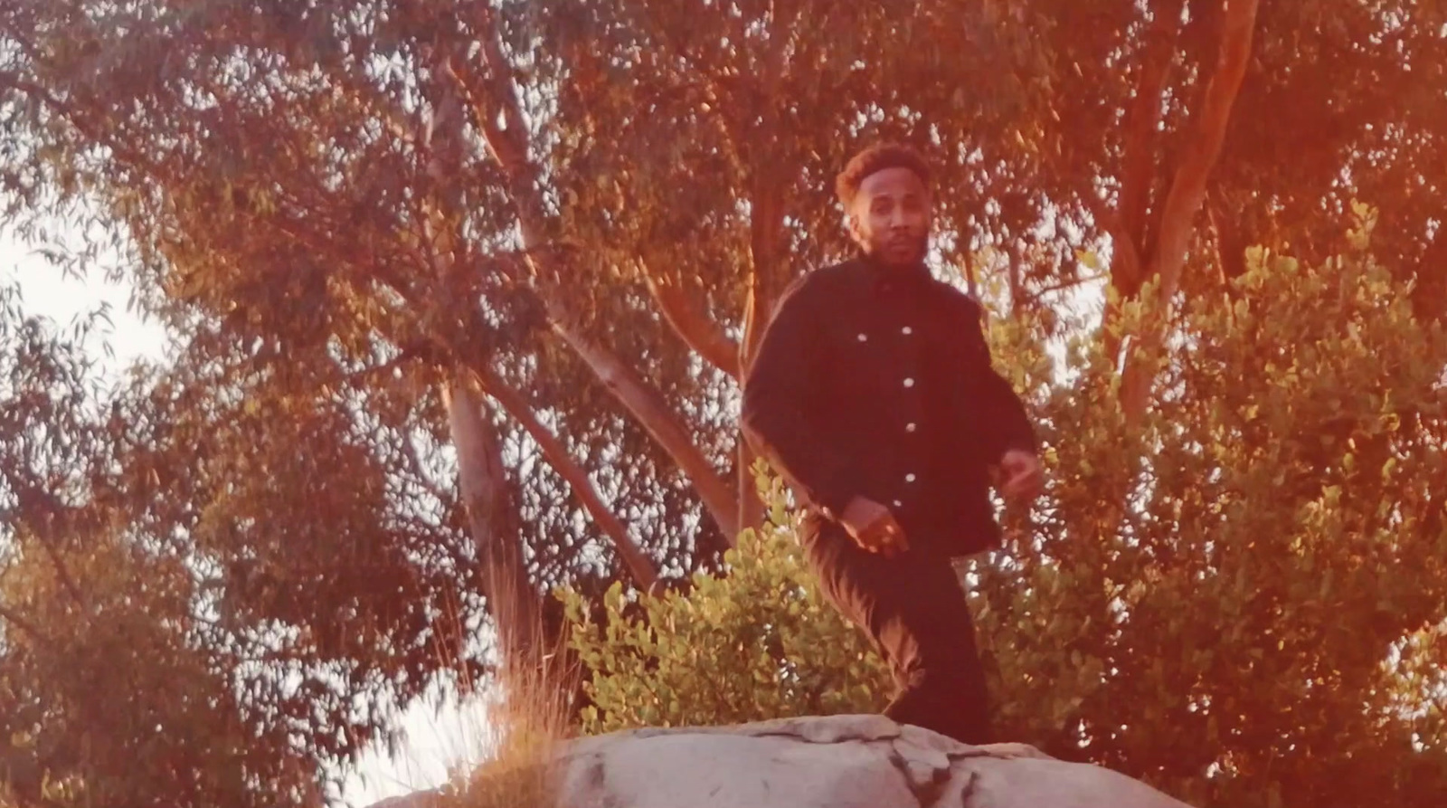 a man standing on top of a rock next to trees