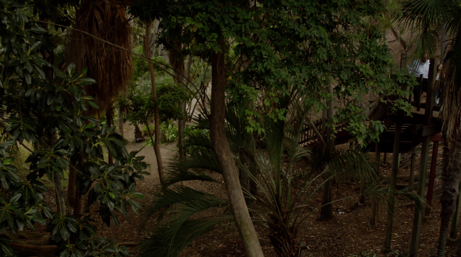 a person sitting on a bench in the middle of a forest