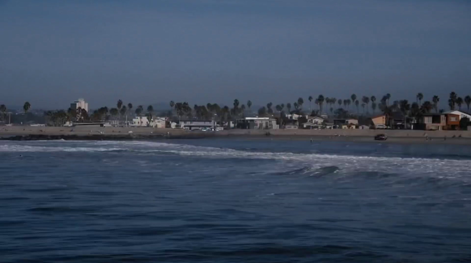 a view of a beach with palm trees in the background