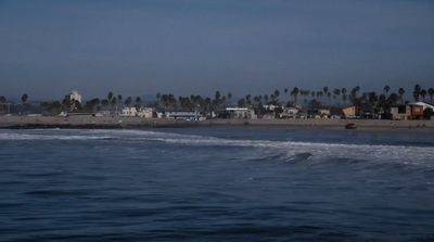 a view of a beach with palm trees in the background