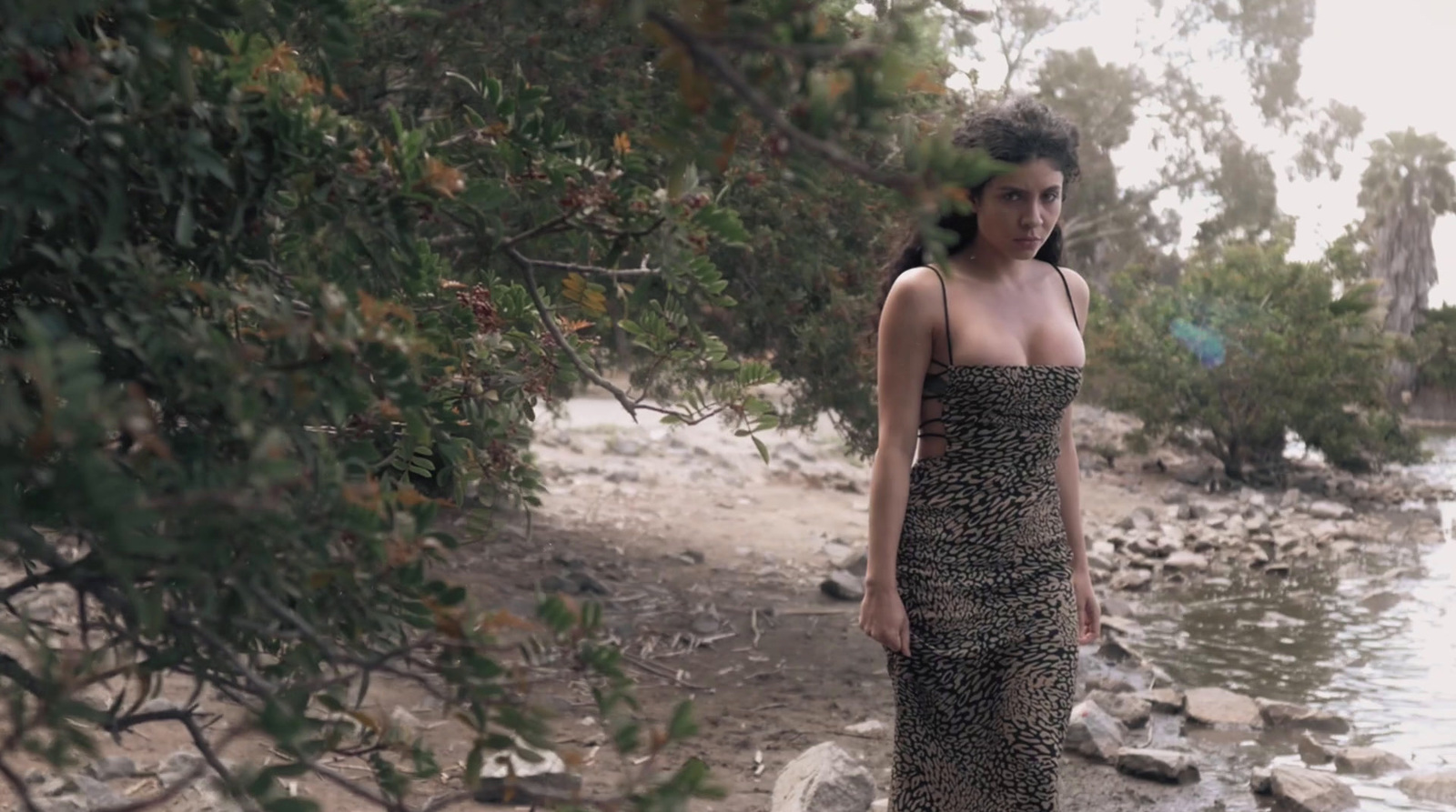 a woman in a leopard print dress standing on rocks near a body of water