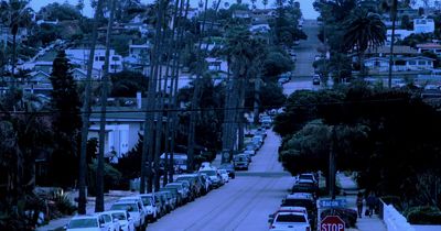 a street filled with lots of traffic next to tall palm trees