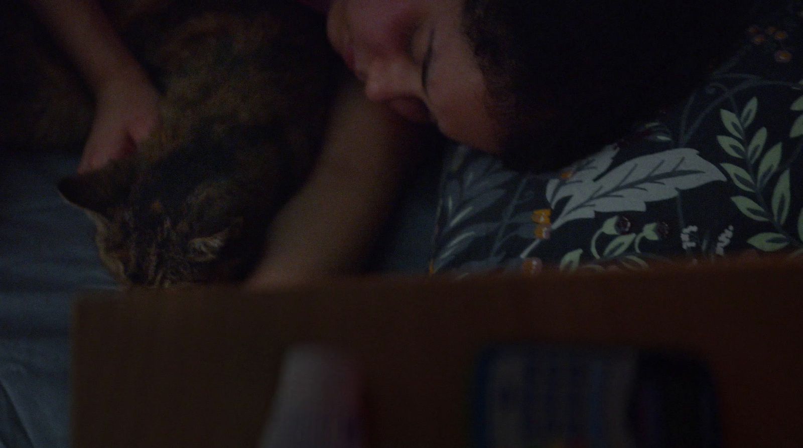 a woman laying on a bed next to a cat