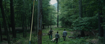 a group of people walking through a wooded area