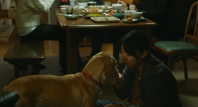 a woman is petting a dog at a table