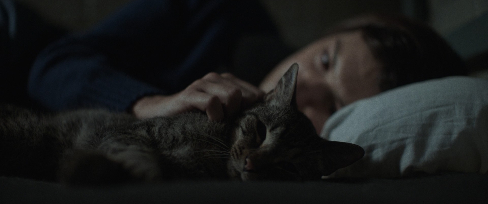 a man laying in bed with a cat