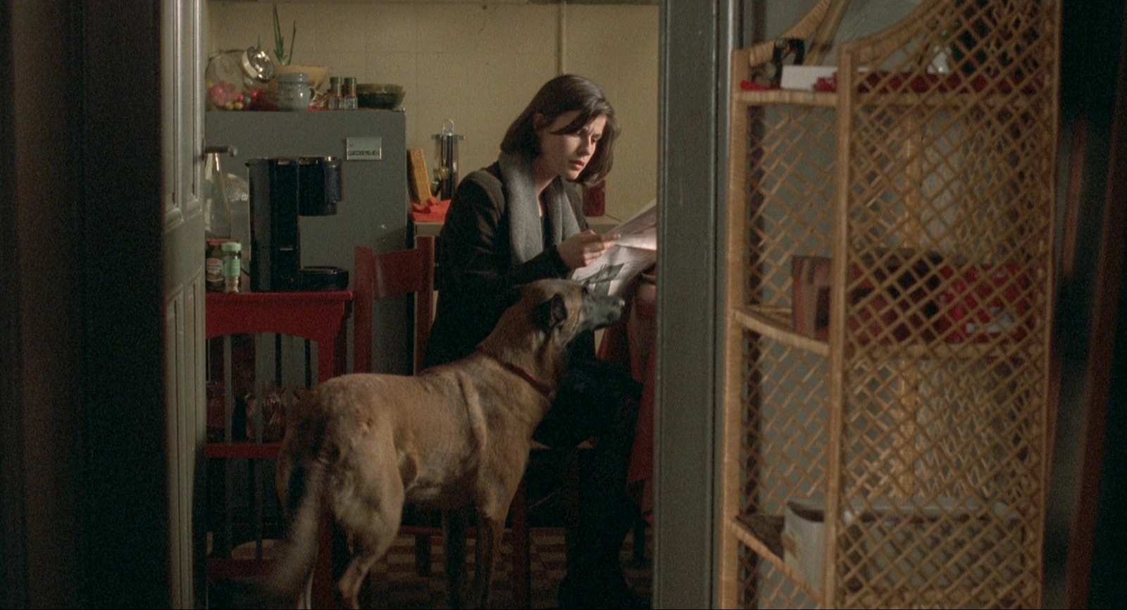 a woman reading a letter to her dog in a kitchen