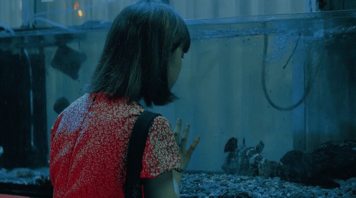 a woman standing in front of a fish tank