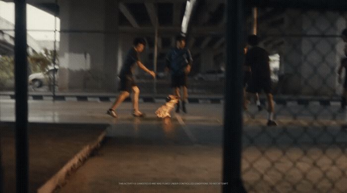 a group of young men playing a game of frisbee with a dog