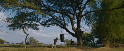 a man standing next to a large tree